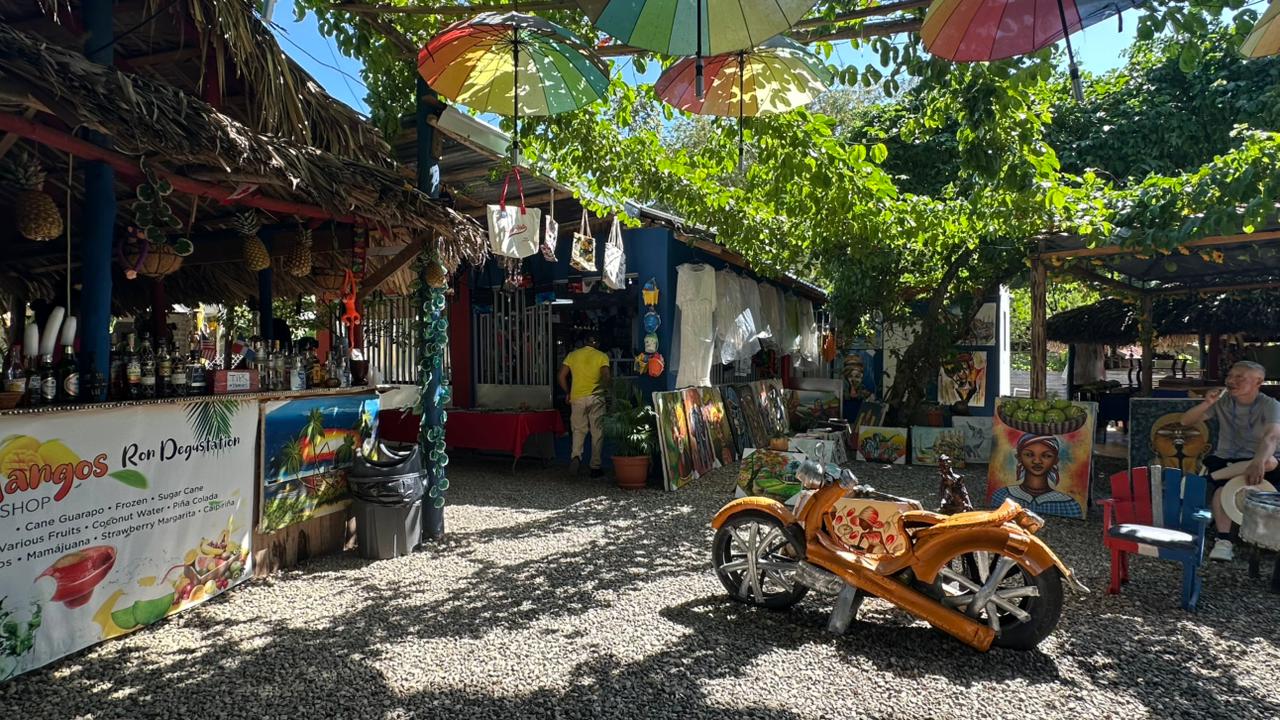 Jahaziel Tours Dominican countryside coffee tour